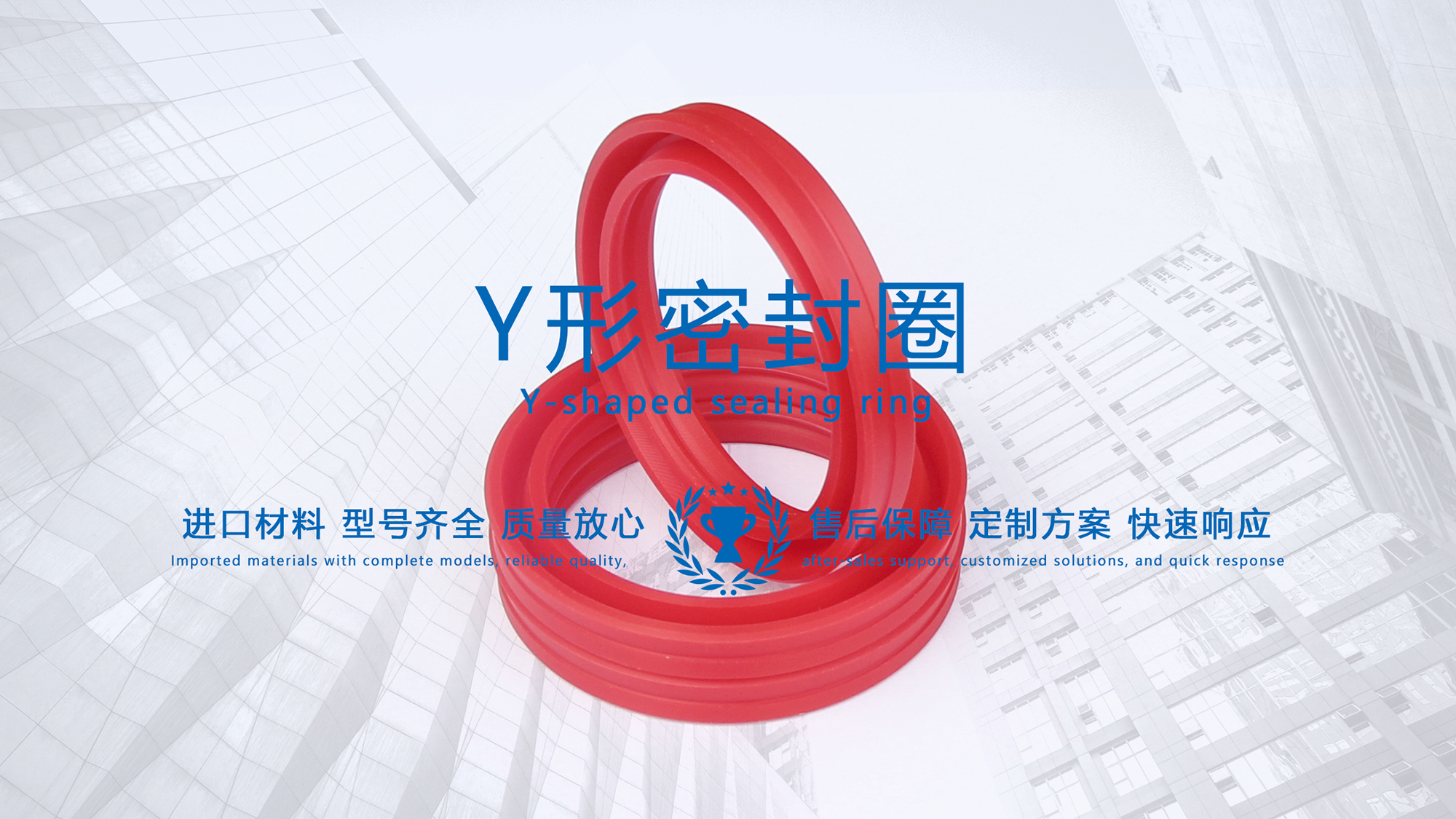 y型密封圈（又Y形密封圈，Y形圈，Y型圖或唇形密封圈，密封件油封膜片） (3)
